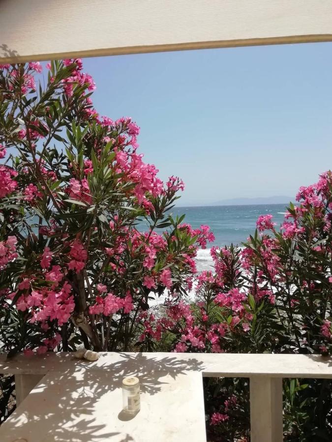 "Sea Front" Rose'S House Villa Kardhianí Exteriör bild