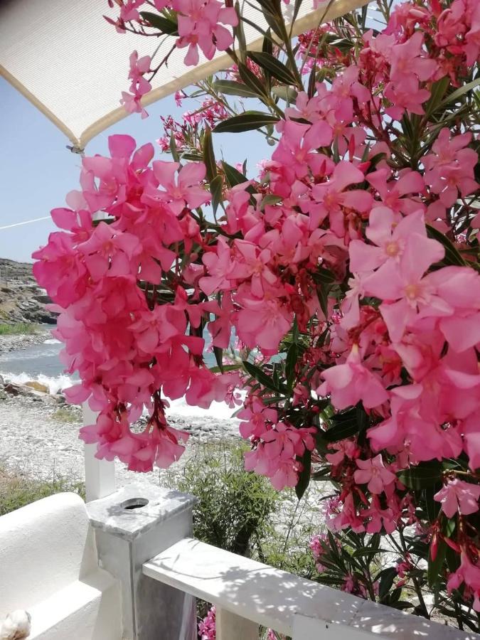 "Sea Front" Rose'S House Villa Kardhianí Exteriör bild